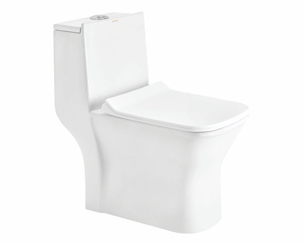 CERA Capaciti S1013209 one-piece EWC front angle