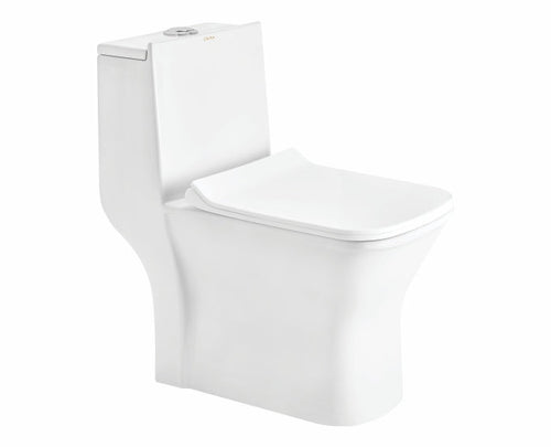 CERA Capaciti S1013209 one-piece EWC front angle