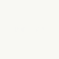 Approximate colour swatch for Nerolac Synthetic Hi-Gloss Enamel Brilliant White; actual shade may vary