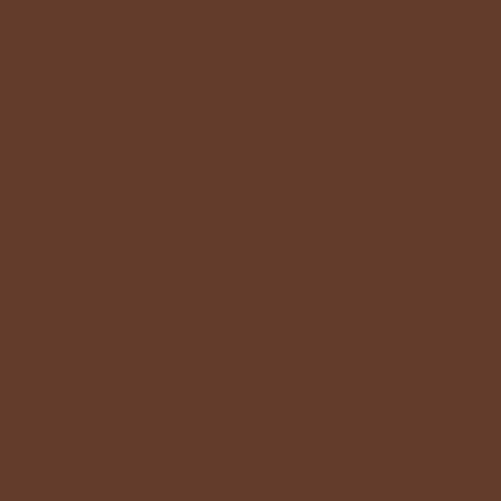 Approximate colour swatch for Nerolac Synthetic Hi-Gloss Enamel Brown; actual shade may vary